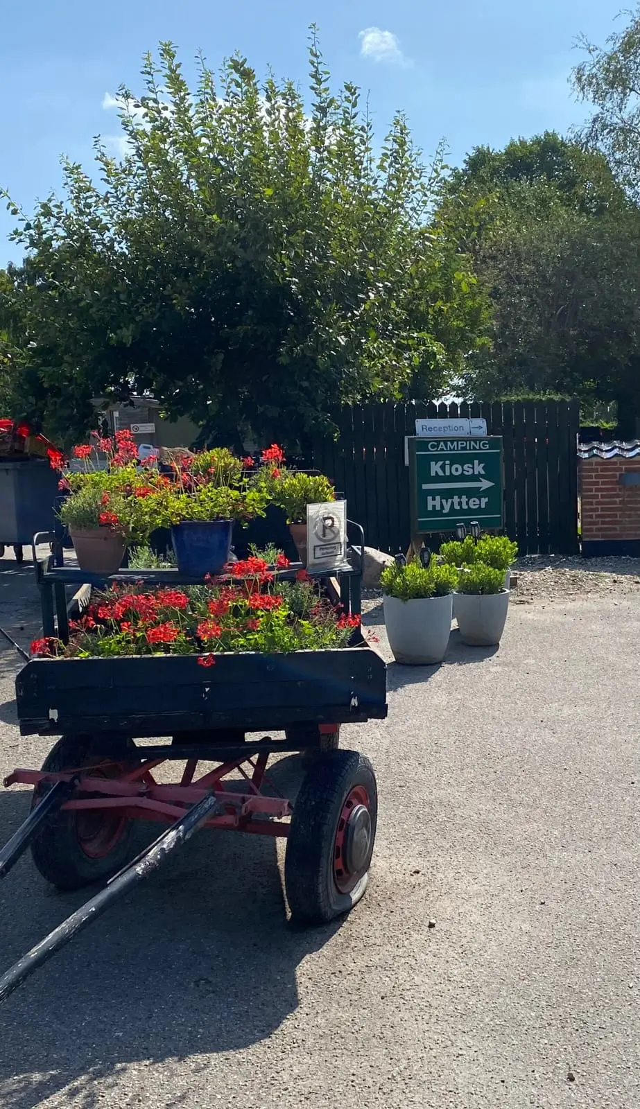 Den gamle vogn med blomster ved indkørslen til pladsen
