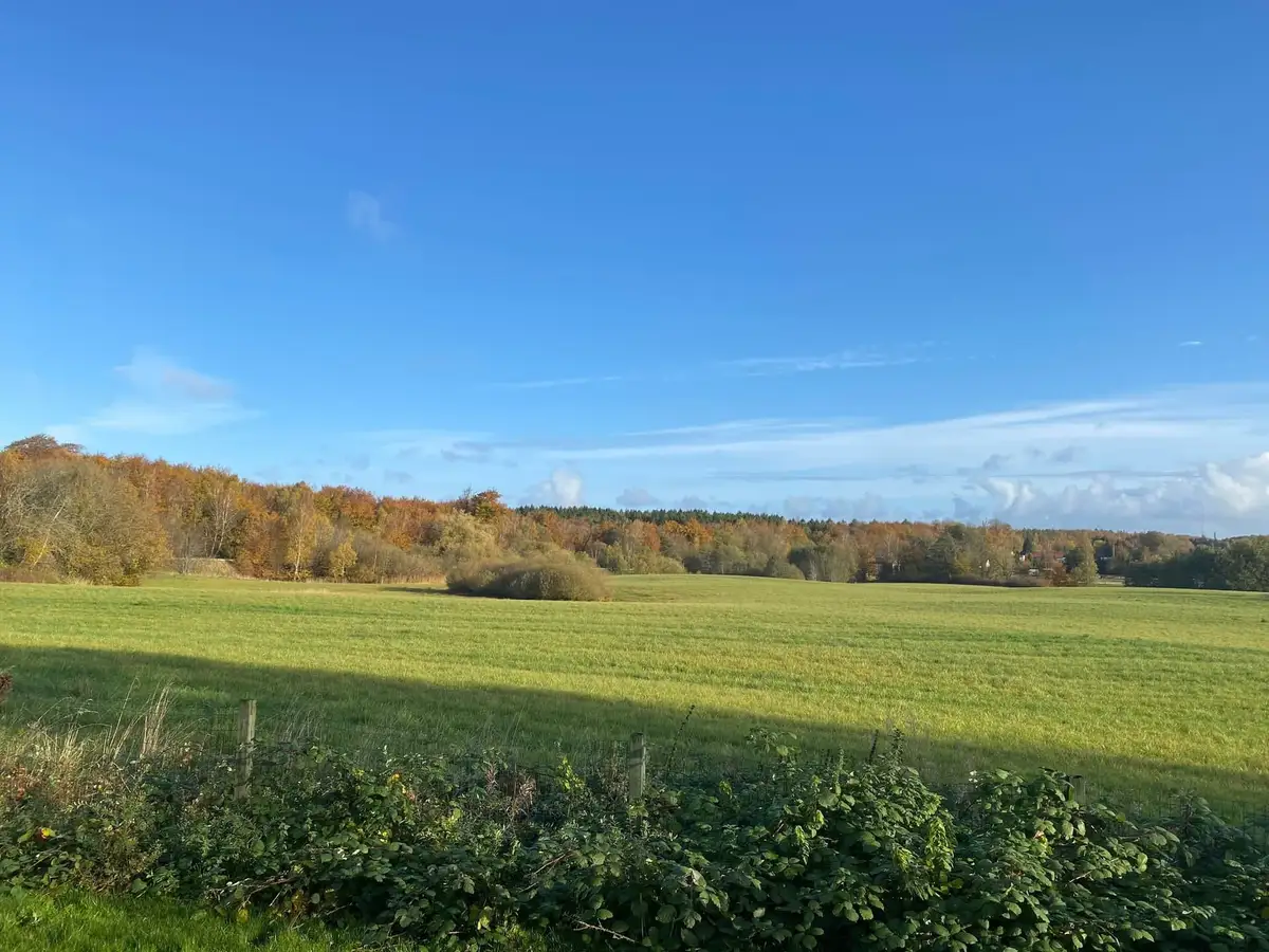 Grønne marker og skov under blå himmel ved Nyrup Camping